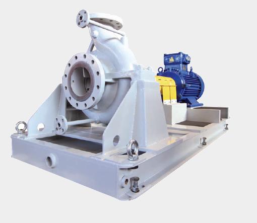 API 610 Proses Pumps